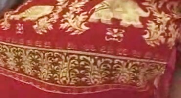 La chica sacó la polla del chico y la insertó en su boca y coño