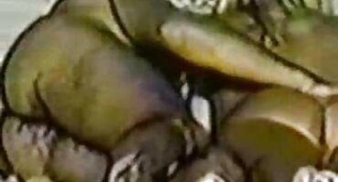 Después del Cunnilingusumm